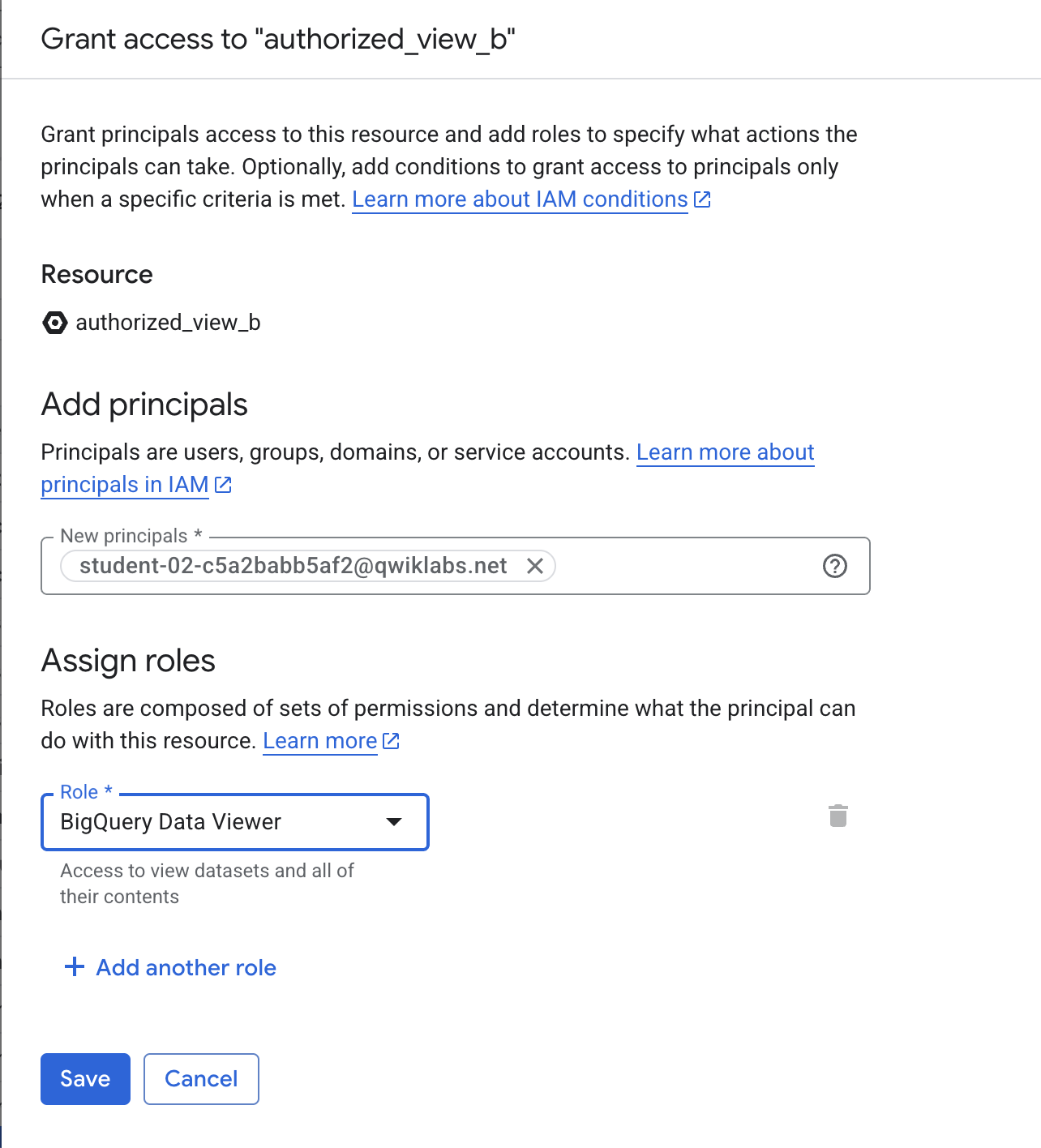 add bigquery data viewer principal