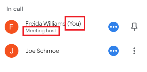 You and and Meeting host highlighted in the UI
