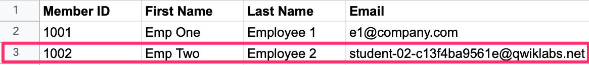 Member email address highlighted within the table.