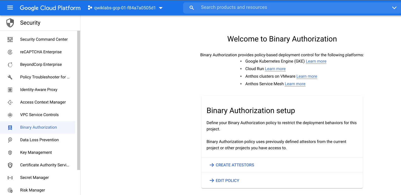 Welcome to Binary Authorization page