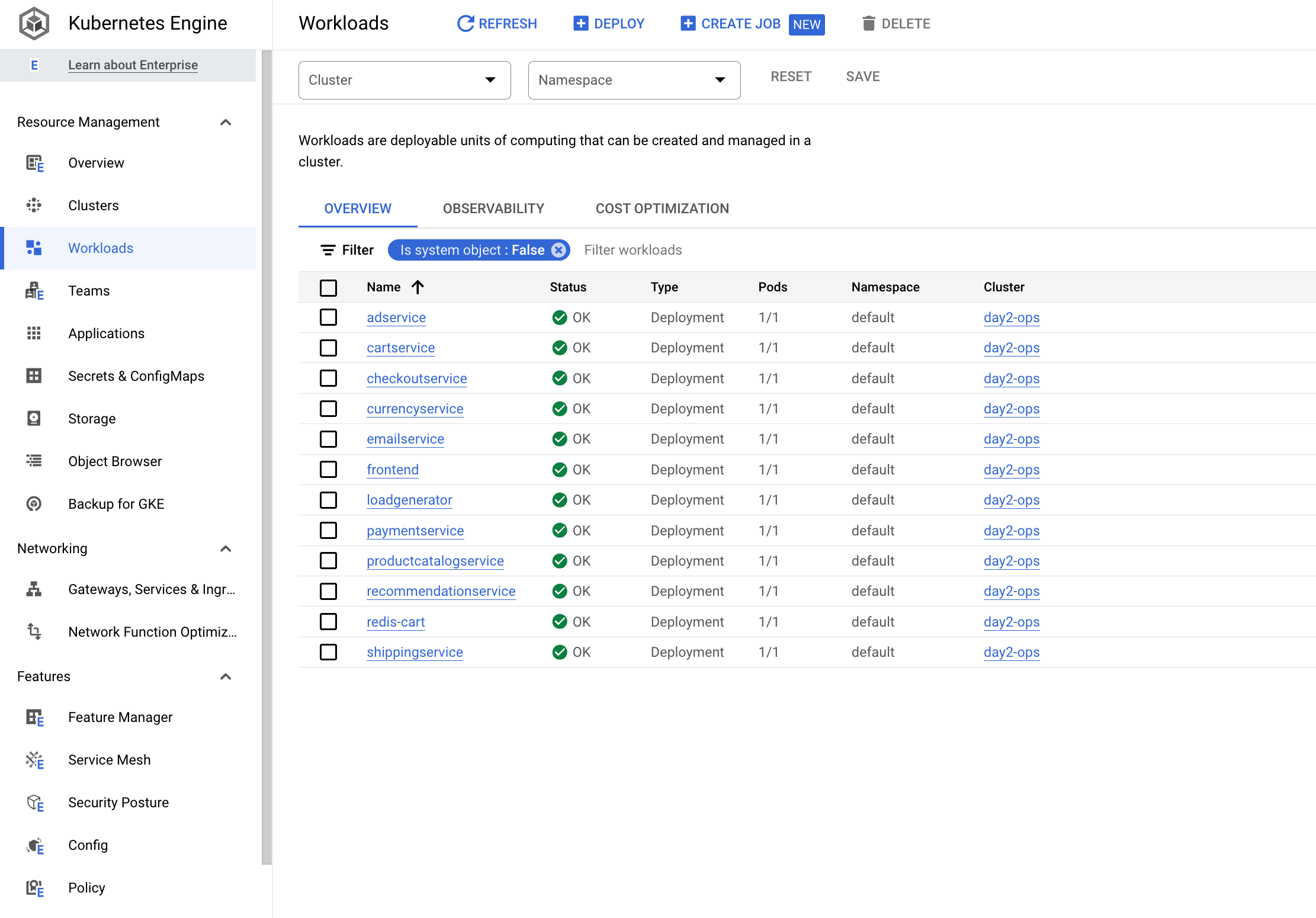 workloads page with pods in OK status