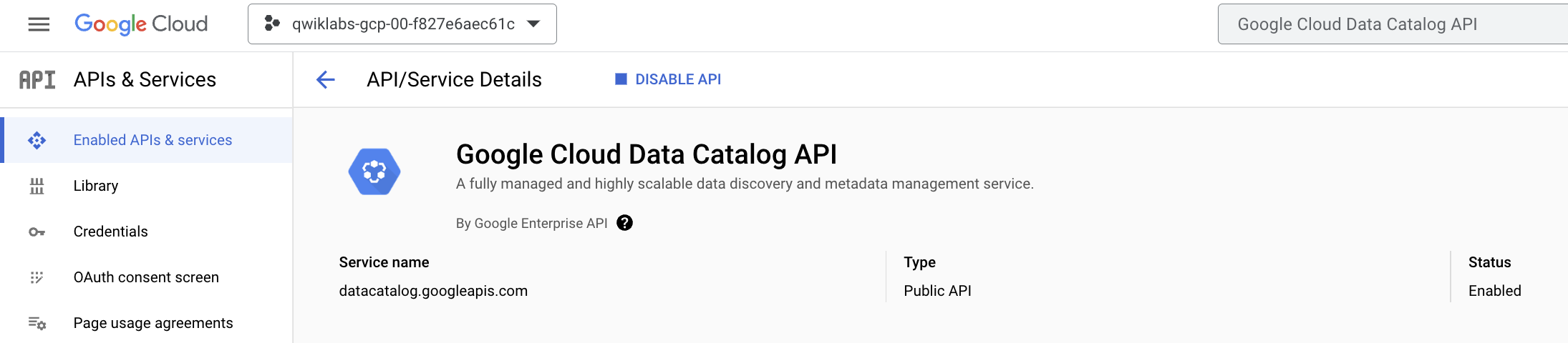 Google Cloud Data Catalog window showing the Data Catalog API overview
