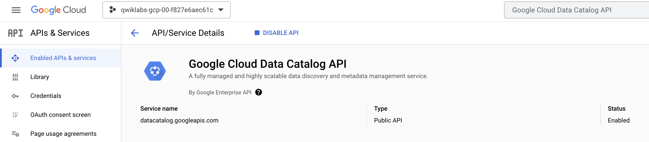 Data Catalog API の概要を表示する Google Cloud Data Catalog ウィンドウ